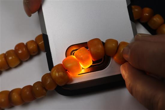 A single strand amber bead necklace, gross 72 grams, 48cm.